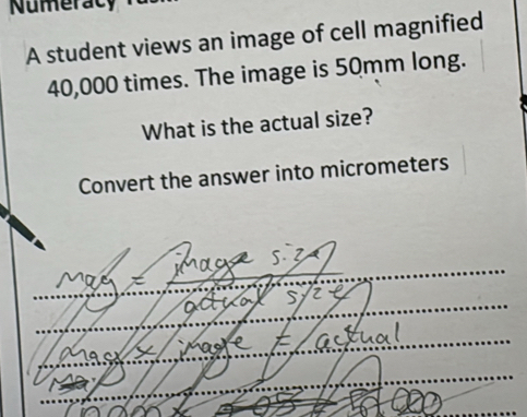 Numeracy 
A student views an image of cell magnified
40,000 times. The image is 50mm long. 
What is the actual size? 
Convert the answer into micrometers 
S