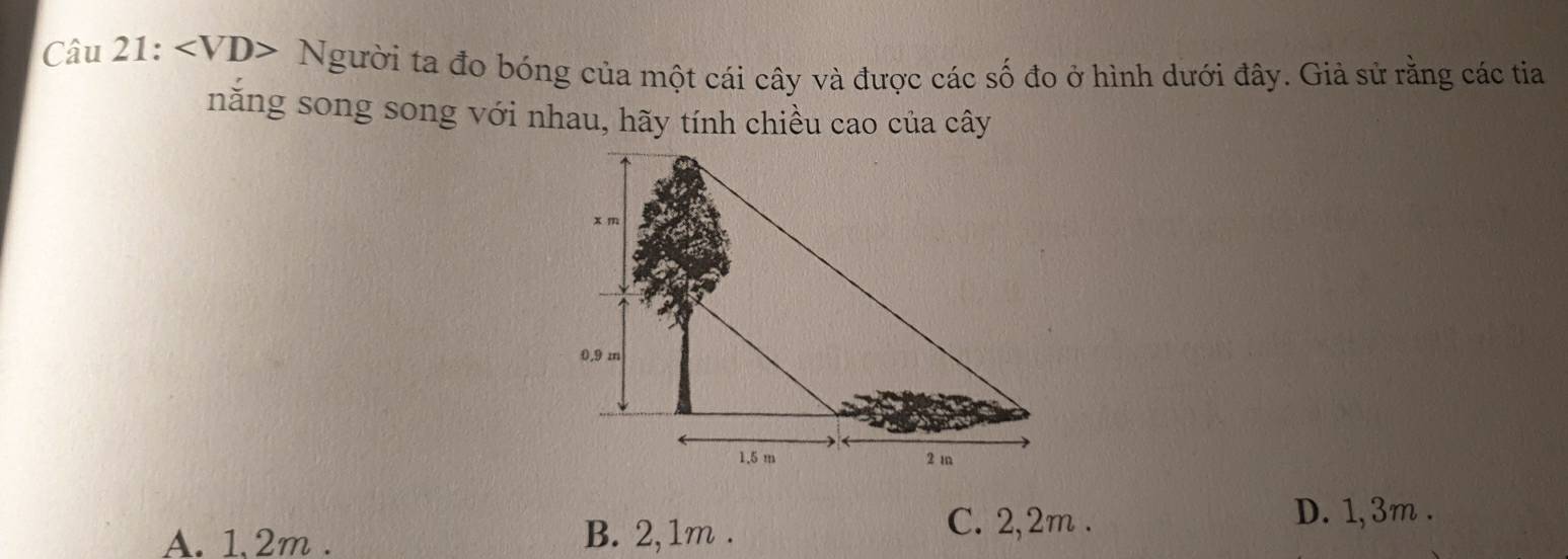 Câu 21: Người ta đo bóng của một cái cây và được các số đo ở hình dưới đây. Giả sử rằng các tia
năng song song với nhau, hãy tính chiều cao của cây
D. 1,3m.
A. 1,2m. B. 2,1m.
C. 2,2m.