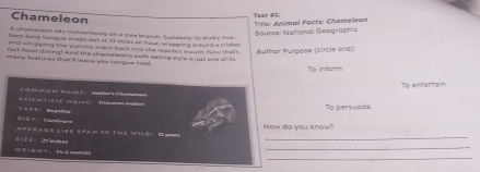 Chameleon 
Title: Animal Facts: Chameleon Taxt # Source: National Geographic 
A shametson sits matientessly on a trea brarsh, Sugdesly ity tirky tek 
fnot-long tongue smaps out at 1 mles an hour, mapping around a criseer 
and whipping the yumy sask back into she sapedes mouth heow that Author Purpose (circle one): 
fast food dising! And the shamaleen's swih eating sye g juss one of its 
many leatures that f leave you longue-tied . 
To inform 
To entertain 
= O m m ū n tan é Aaler' é ame 
* C I E n t s d c d a a e ； Th 
t : Camar Тッрε： Maptiles To persuadé 
_ 
Ayerage life span in ths wilg: Byn How do you know? 
_ 
_ 
Wei g h t： 1 s dnou =1 28 29 inches