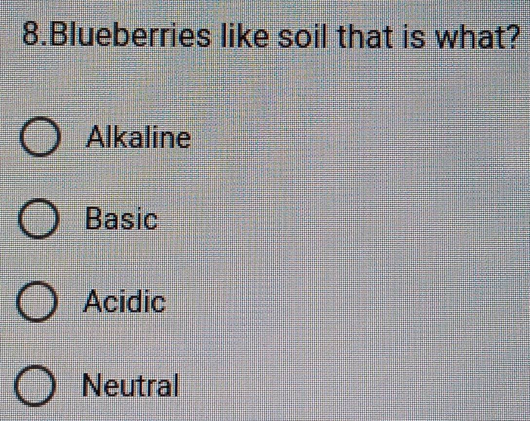 Blueberries like soil that is what?
Alkaline
Basic
Acidic
Neutral