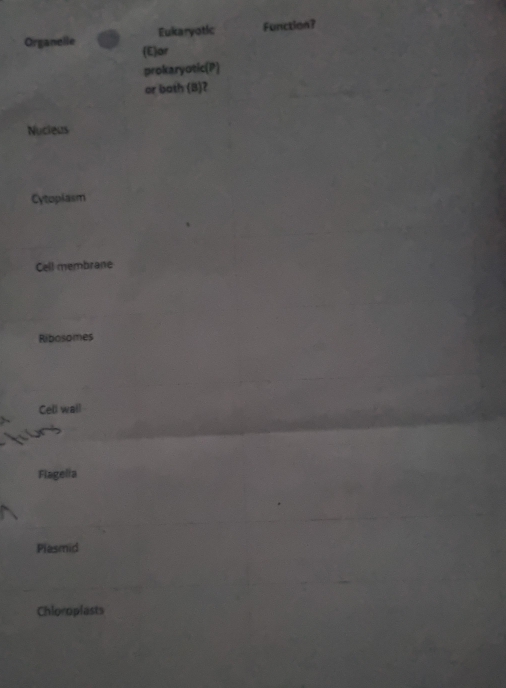 Eukaryotic Function?
Organelle (E)ar
prokaryotic(P)
or both (B)?
Nucleus
Cytoplasm
Cell membrane
Ribosomes
Cell wall
Flagelia
Plasmid
Chioroplasts