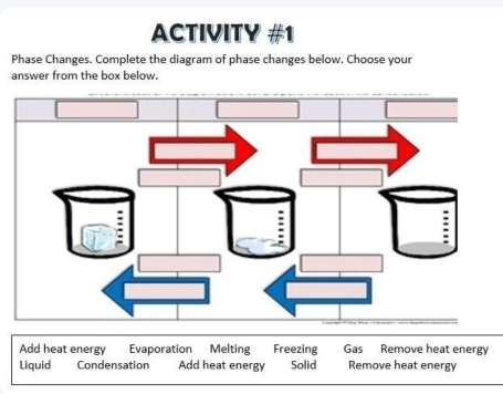 ACTIVITY #1 
Phase Changes. Complete the diagram of phase changes below. Choose your 
answer from the box below.