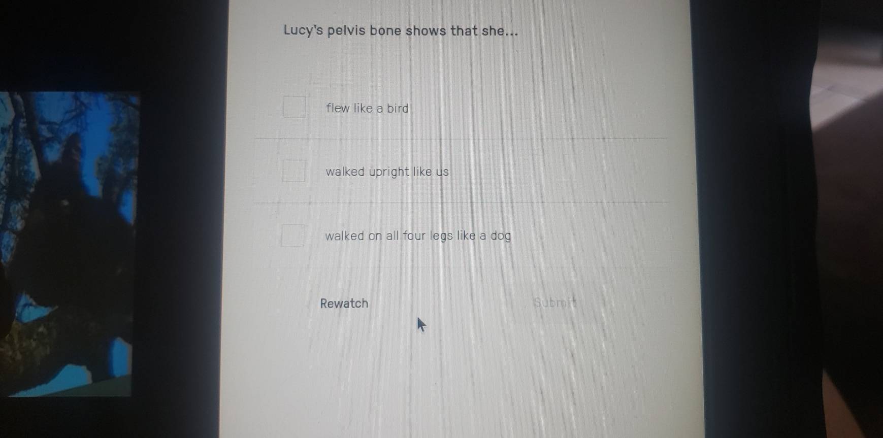 Lucy's pelvis bone shows that she...
flew like a bird
walked upright like us
walked on all four legs like a dog
Rewatch