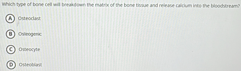 Which type of bone cell will breakdown the matrix of the bone tissue and release calcium into the bloodstream?
A Osteoclast
BOsteogenic
COsteocyte
DOsteoblast