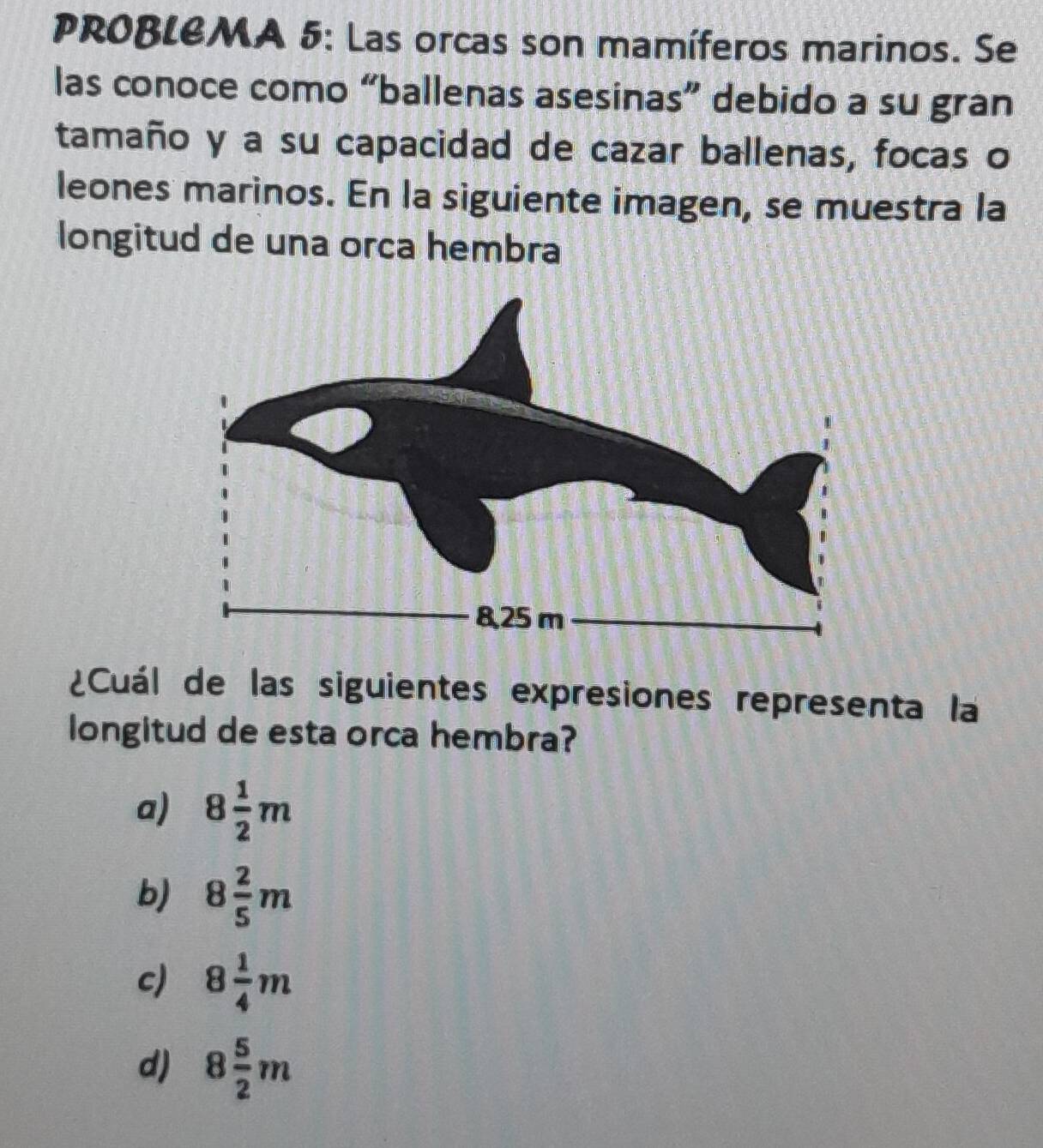 PROBLEMA 5: Las orcas son mamíferos marinos. Se
las conoce como “ballenas asesinas” debido a su gran
tamaño y a su capacidad de cazar ballenas, focas o
leones marinos. En la siguiente imagen, se muestra la
longitud de una orca hembra
¿Cuál de las siguientes expresiones representa la
longitud de esta orca hembra?
a) 8 1/2 m
b) 8 2/5 m
c) 8 1/4 m
d) 8 5/2 m