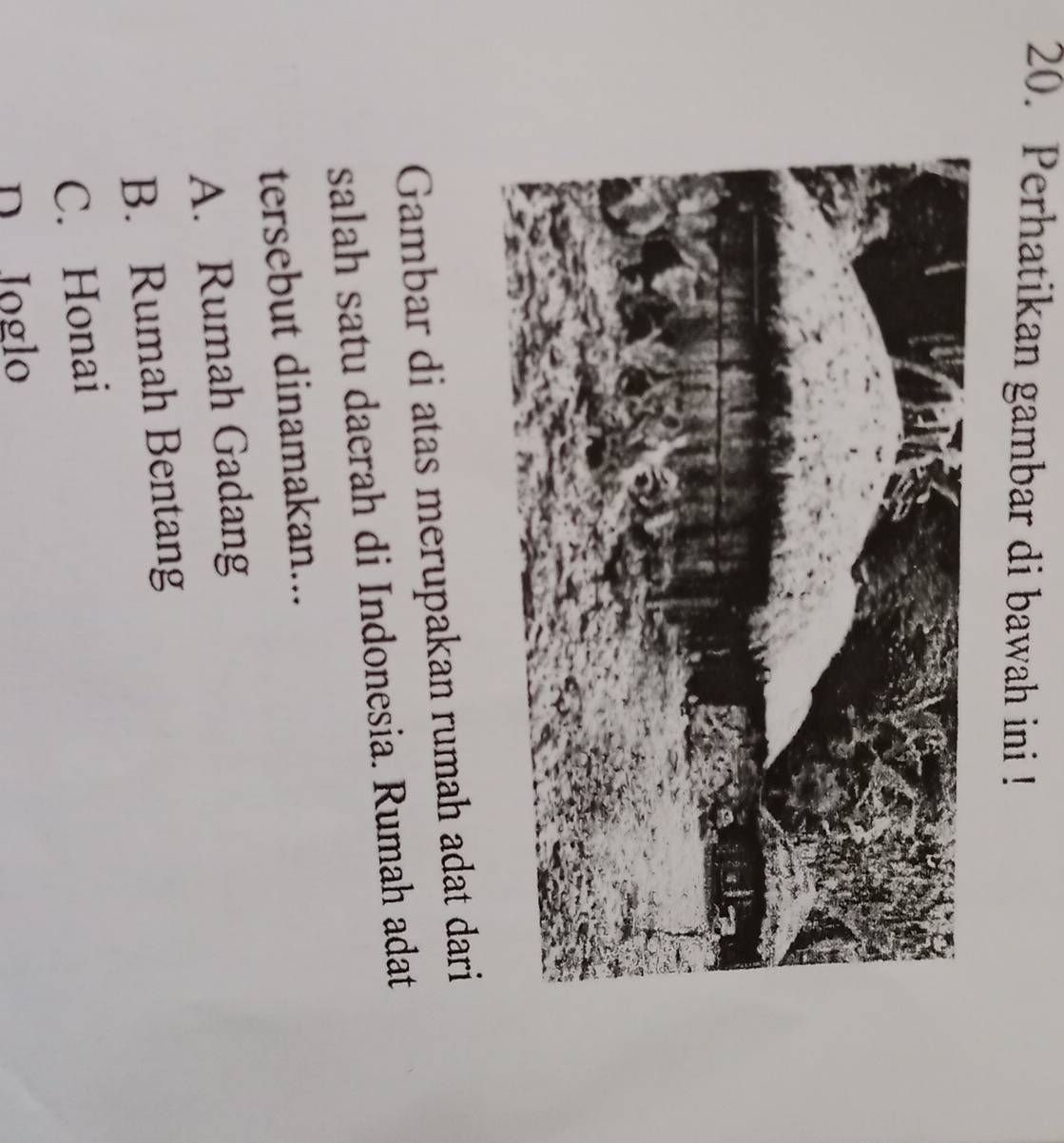 Perhatikan gambar di bawah ini !
Gambar di atas merupakan rumah adat dari
salah satu daerah di Indonesia. Rumah adat
tersebut dinamakan...
A. Rumah Gadang
B. Rumah Bentang
C. Honai
D Joglo