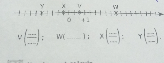 V( (....)/....) ; W(...); * ( (...)/... ); Y( (...)/... ).