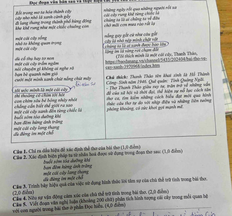 Đọc đoạn văn bản sau và thực hiện các
Rồi trong mơ ta hóa thành cây những ngày rồi qua những người rồi xa
cây nho nhỏ lá xanh cành gầy cái cây rung khẽ từng chiếc lá
đi lang thang trong thành phố hừng đồng chúng ta là ai chứng ta về đầu
khe khẽ rung như một chiếc chuống con chờ mãi cơn mưa rào rất lạ
một cái cây sống nắng gay gắt cứ như cáu gắt
nhỏ to không quan trọng cây lá nhỏ nép mình chật vật
một cái cây chủng ta là ai xanh được bao lâu
lặng im lá vàng rơi chạm đất
dù cổ thụ hay tơ non (Tôi thích mình là một cái cây, Thanh Thảo,
một cái cây trầm ngâm https://baodanang.vn/channel/5433/202404/bai-tho-ve-
nói chuyện gì không ai nghe rõ cay-xanh-3970968/index.htm
bạn bè quanh năm gió
cười một mình xanh chút nắng chút mây  Chú thích: Thanh Thảo tên khai sinh là Hồ Thành
Công- Sinh năm 1946. Quê quán: Tỉnh Quảng Ngãi.
tôi ước mình là một cái cây - Thơ Thanh Thảo giàu suy tư, trăn trở về những vấn
thi thoảng có chim tới hót đề của xã hội và thời đại, thể hiện sự nỗ lực cách tân
con chim sâu bé bỏng nhảy nhót thơ ca, tìm kiếm những cách biểu đạt mới qua hình
chẳng cần biết thế giới ra sao thức câu thơ tự do với nhịp điệu và những liên tưởng
một cái cây xanh đến từng chiếc lá phóng khoáng, có sức khơi gợi mạnh mẽ.
buổi sớm tỏa dưỡng khí
ban đêm hứng ánh trăng
một cái cây lang thang
dù đứng im một chỗ
Câu 1. Chỉ ra dấu hiệu đề xác định thể thơ của bài thơ (1,0 điểm)
Câu 2. Xác định biện pháp tu từ nhân hoá được sử dụng trong đoạn thơ sau: (1,0 điểm)
buổi sớm tỏa dưỡng khí
ban đêm hứng ánh trăng
một cái cây lang thang
dù đứng im một chỗ
Câu 3. Trình bày hiệu quả của việc sử dụng hình thức lời tâm sự của chủ thể trữ tình trong bài thơ.
(2,0 điểm)
Câu 4. Nếu sự vận động cảm xúc của chủ thể trữ tình trong bài thơ. (2,0 điểm)
Câu 5. Viết đoạn văn nghị luận (khoảng 200 chữ) phân tích hình tượng cái cây trong mối quan hệ
với con người trong bài thơ ở phần Đọc hiểu. (4,0 điểm)