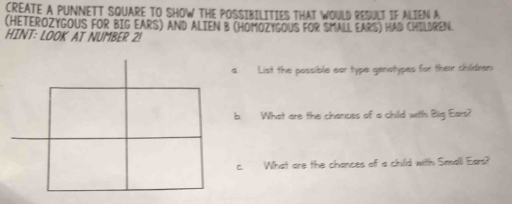 CREATE A PUNNETT SQUARE TO SHOW THE POSSIBILITIES THAT WOULD RESULT IF ALIEN A 
(HETEROZYGOUS FOR BIG EARS) AND ALIEN B (HOMOZYGOUS FOR SMALL EARS) HAD CHILDREN. 
HINT: LOOK AT NUMBER 2! 
a. List the possible ear type genotypes for their childken 
b. What are the chances of a child with Big Ears? 
c. What are the chances of a child with Smalll Ears?