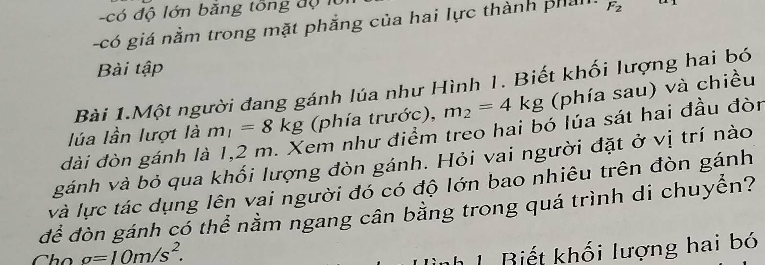 có độ lớn băng tông độ lừ 
-có giá nằm trong mặt phẳng của hai lực thành phải F_2
Bài tập 
Bài 1.Một người đang gánh lúa như Hình 1. Biết khối lượng hai bó 
lúa lần lượt là m_1=8kg (phía trước), m_2=4kg (phía sau) và chiều 
em như điểm treo hai bó lúa sát hai đầu đòn 
dài đòn gánh là 
gánh và bỏ qua khối lượng đòn gánh. Hỏi vai người đặt ở vị trí nào 
và lực tác dụng lên vai người đó có độ lớn bao nhiêu trên đòn gánh 
để đòn gánh có thể nằm ngang cân bằng trong quá trình di chuyển? 
Cho g=10m/s^2. 
h 1 Biết khối lượng hai bó