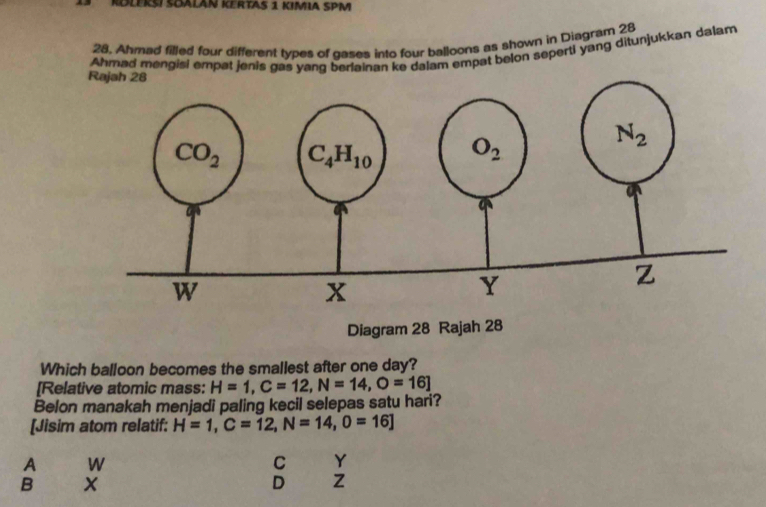 RÜLERšI SGALAN KERTAS 1 KIMIA SPM
28. Ahmad filled four different types of gases into four balloons as shown in Diagram 28
Ahmad mengisi empat jenis gas yang berlainan ke dalam empat belon seperti yang ditunjukkan dalam
Diagram 28 Rajah 28
Which balloon becomes the smallest after one day?
[Relative atomic mass: H=1,C=12,N=14,O=16]
Belon manakah menjadi paling kecil selepas satu hari?
[Jisim atom relatif: H=1,C=12,N=14,0=16]
A W
C Y
B
D z