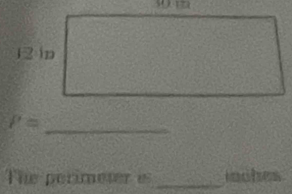 12 in
P= _ 
The perimeter es_ iches