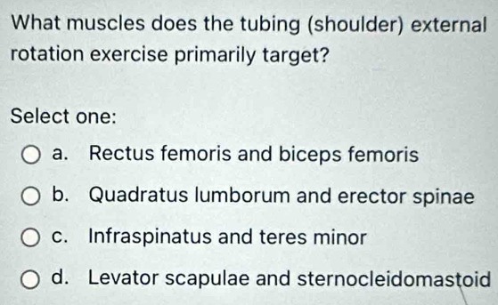 Solved: What muscles does the tubing (shoulder) external rotation ...