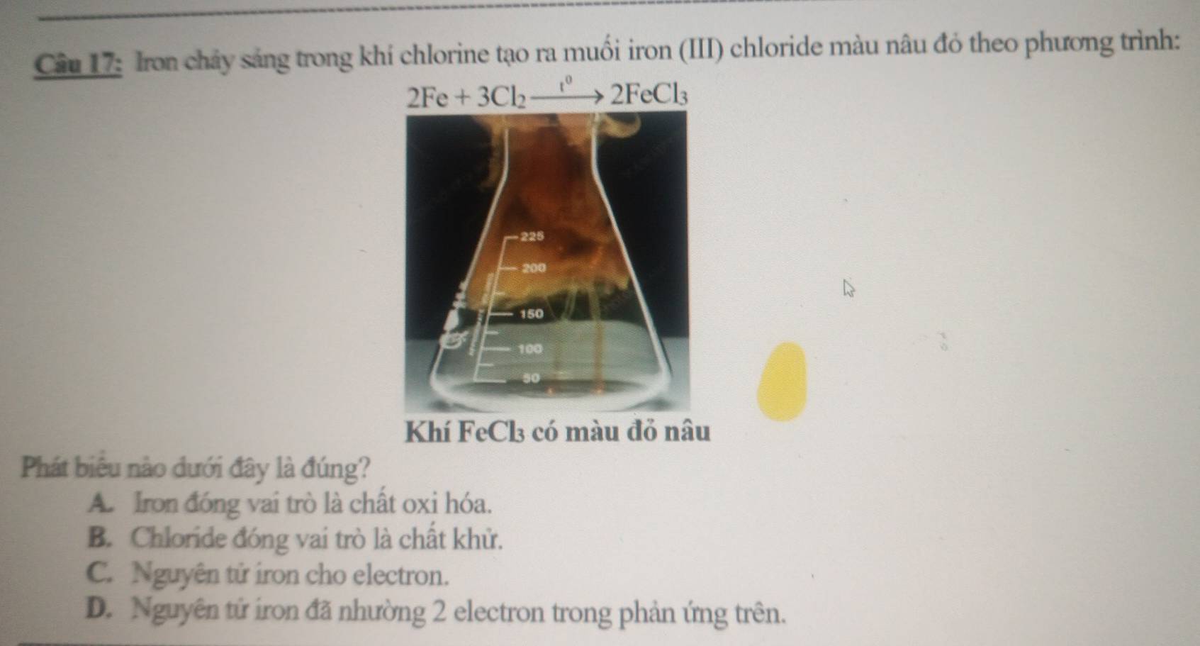 Iron chảy sáng trong khí chlorine tạo ra muối iron (III) chloride màu nâu đỏ theo phương trình:
2Fe+3Cl_2to 2F°2FeCl_3 
Phát biểu nào dưới đây là đúng?
A. Iron đóng vai trò là chất oxi hóa.
B. Chloride đóng vai trò là chất khử.
C. Nguyên tử iron cho electron.
D. Nguyên tử iron đã nhường 2 electron trong phản ứng trên.