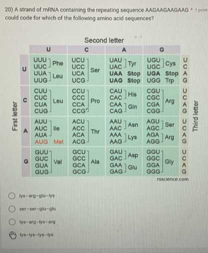 A strand of mRNA containing the repeating sequence AAGAAGAAGAAG * 1 point
could code for which of the following amino acid sequences?
ys-arg-glu-lyt
ser-ser-glu-glu
lys-arg-lys-arg
lys-lys-lys-lys