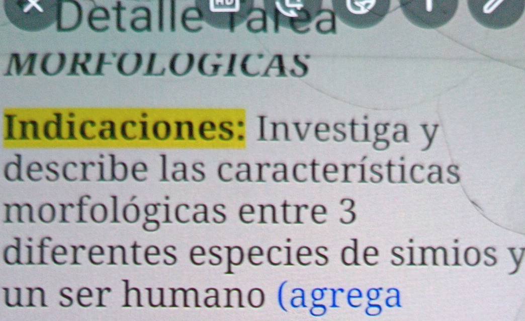 Detalle Taréa 
MORFOLOGICAS 
Indicaciones: Investiga y 
describe las características 
morfológicas entre 3
diferentes especies de simios y 
un ser humano (agrega