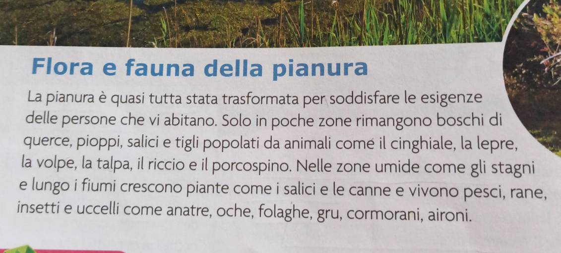 Flora e fauna della pianura 
La pianura è quasi tutta stata trasformata per soddisfare le esigenze 
delle persone che vi abitano. Solo in poche zone rimangono boschi di 
querce, pioppi, salici e tigli popolati da animali comé il cinghiale, la lepre, 
la volpe, la talpa, il riccio e il porcospino. Nelle zone umide come gli stagni 
e lungo i fiumi crescono piante come i salici e le canne e vivono pesci, rane, 
insetti e uccelli come anatre, oche, folaghe, gru, cormorani, aironi.