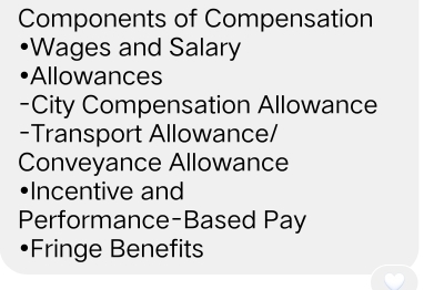 Components of Compensation 
Wages and Salary 
Allowances 
-City Compensation Allowance 
-Transport Allowance/ 
Conveyance Allowance 
•Incentive and 
Performance-Based Pay 
Fringe Benefits