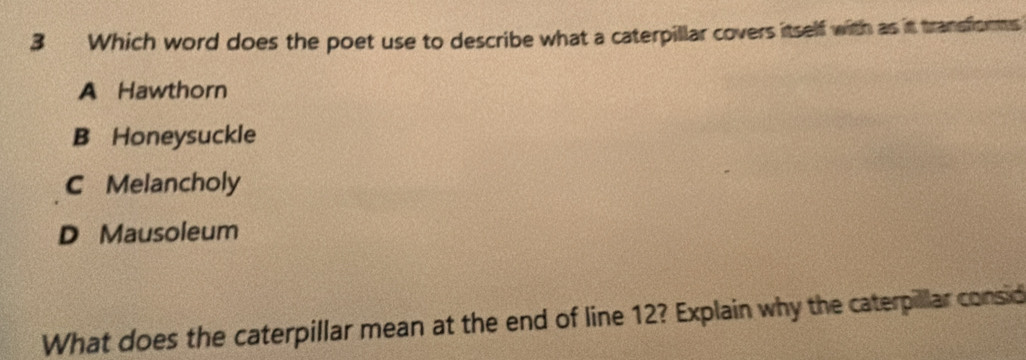 Which word does the poet use to describe what a caterpillar covers itself with as it transforms
A Hawthorn
B Honeysuckle
C Melancholy
D Mausoleum
What does the caterpillar mean at the end of line 12? Explain why the caterpillar consid