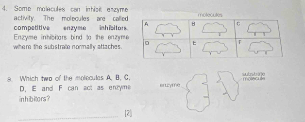 Some molecules can inhibit enzyme 
activity. The molecules are called 
competitive enzyme inhibitors. 
Enzyme inhibitors bind to the enzyme 
where the substrate normally attaches. 
a. Which two of the molecules A, B, C, substrate
D, E and F can act as enzyme enzyme molecule 
inhibitors? 
_ 
[2]