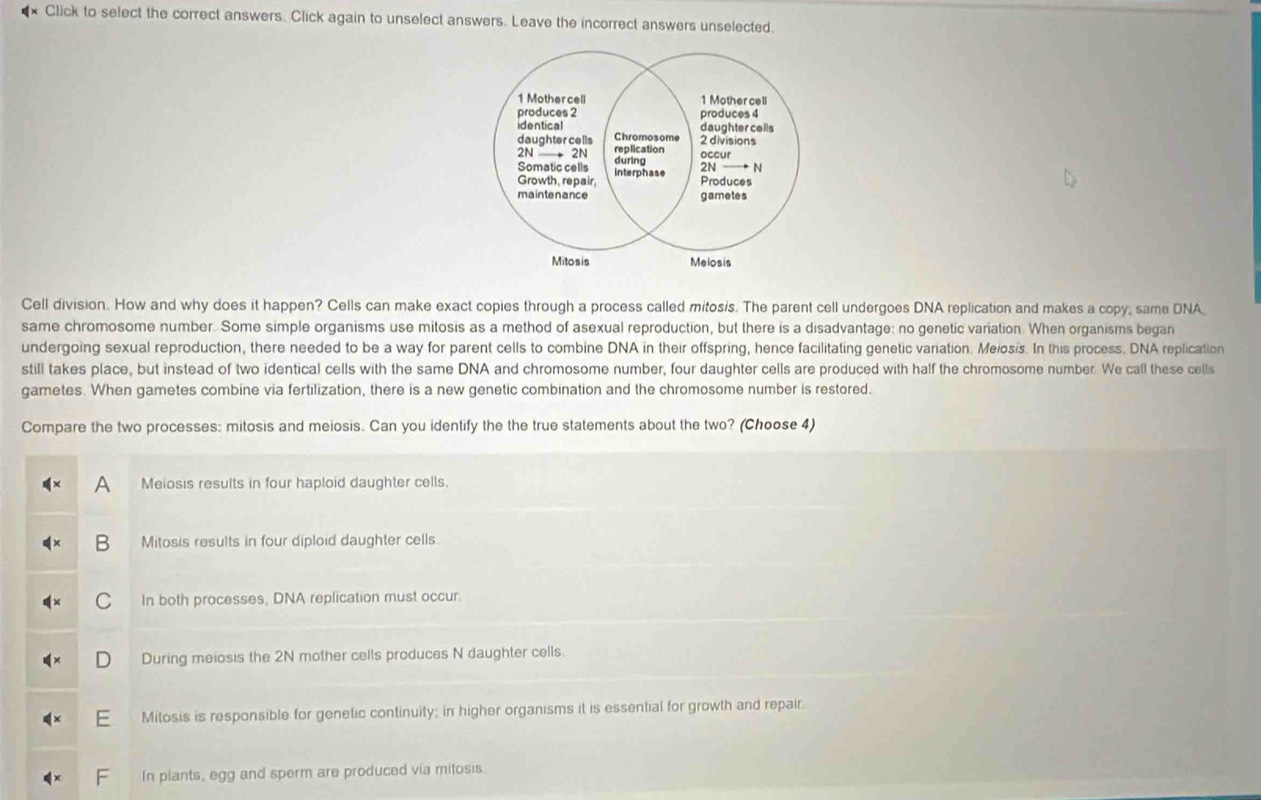 Click to select the correct answers. Click again to unselect answers. Leave the incorrect answers unselected.
1 Mother cell 1 Mother cell
produces 2 produces 4
identical daughter cells
daughter cells Chromosome 2 divisions
2N 2N replication occur
Somatic cells during
Growth, repair, interphase
2N — N
Produces
maintenance gametes
Mitosis Melosis
Cell division. How and why does it happen? Cells can make exact copies through a process called mitosis. The parent cell undergoes DNA replication and makes a copy; same DNA,
same chromosome number. Some simple organisms use mitosis as a method of asexual reproduction, but there is a disadvantage: no genetic variation. When organisms began
undergoing sexual reproduction, there needed to be a way for parent cells to combine DNA in their offspring, hence facilitating genetic variation. Meiosis. In this process. DNA replication
still takes place, but instead of two identical cells with the same DNA and chromosome number, four daughter cells are produced with half the chromosome number. We call these cells
gametes. When gametes combine via fertilization, there is a new genetic combination and the chromosome number is restored.
Compare the two processes: mitosis and meiosis. Can you identify the the true statements about the two? (Choose 4)
A Meiosis results in four haploid daughter cells.
B Mitosis results in four diploid daughter cells
C In both processes, DNA replication must occur.
D During meiosis the 2N mother cells produces N daughter cells
Mitosis is responsible for genetic continuity; in higher organisms it is essential for growth and repair.
In plants, egg and sperm are produced vía mitosis