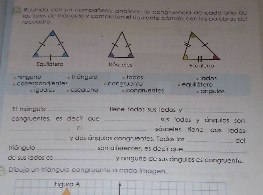 Reunido con un compañero, analicen la congruencia de cada uno de
los tipos de triángulo y completen el siguiente párrafo con las palabras del
recuadro.
Equilátero Isósceles Escaleno
ninguno triángulo todos lados
correspondientes congruente equilátero
iguales escaleno congruentes ángulos
El triángulo _tiene todos sus lados y_
congruentes, es decir que _sus lados y ángulos son
_. El _isósceles tiene dos lados
_y dos ángulos congruentes. Todos los_ del
triángulo _son diferentes, es decir que_
de sus lados es _y ninguno de sus ángulos es congruente.
Dibuja un triángulo congruente a cada imagen.
Figura A