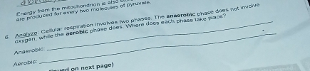 Energy from the mitechondrion is also 
are produced for every two molecules of pyruvate .
6. Analyze: Cellular respiration involves two phases. The anaeroblc phase does not involve
_
exygen, while the aeroble phase does. Where does each phase take place?
Anaerobic
Aerobic:
ed on next page )