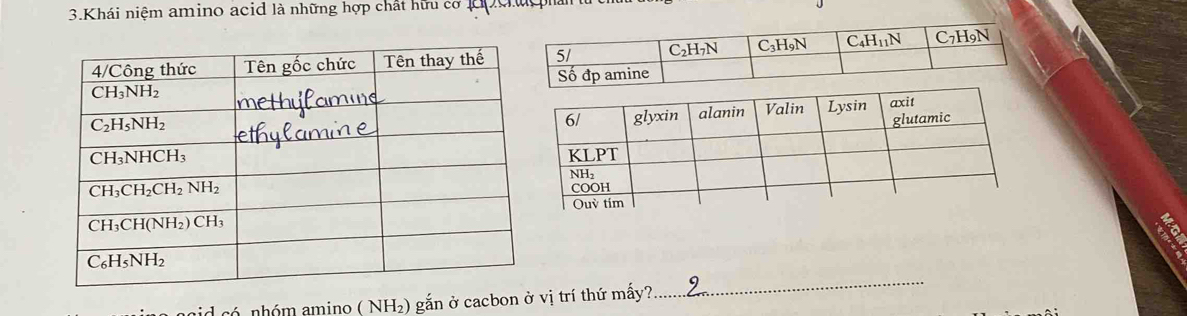 Khái niệm amino acid là những hợp chất hữu cờ pcruệ
có nhóm amino ( NH₂) gắn ở cacbon ở vị trí thứ mấy?
_