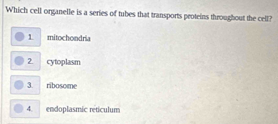 Which cell organelle is a series of tubes that transports proteins throughout the cell?
1 mitochondria
2. cytoplasm
3. ribosome
4. endoplasmic reticulum