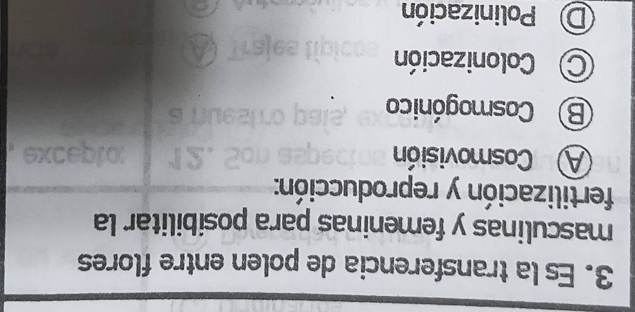 Es la transferencia de polen entre flores
masculinas y femeninas para posibilitar la
fertilización y reproducción:
A Cosmovisión
B Cosmogónico
C Colonización