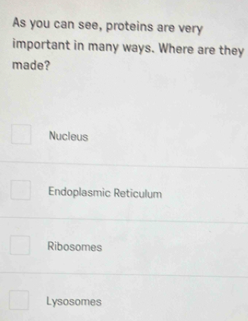 As you can see, proteins are very
important in many ways. Where are they
made?
Nucleus
Endoplasmic Reticulum
Ribosomes
Lysosomes