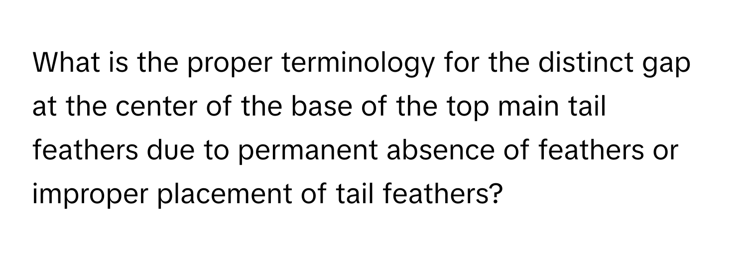 What is the proper terminology for the distinct gap at the center of the base of the top main tail feathers due to permanent absence of feathers or improper placement of tail feathers?