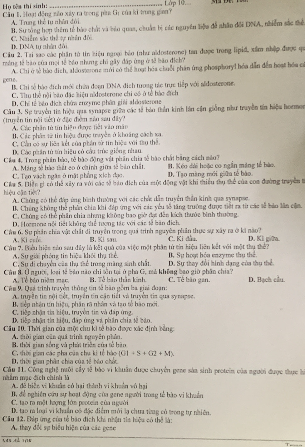 Họ tên thí sinh: _Lớp 10.
Cầu 1. Hoạt động nào xảy ra trong pha Gị của kì trung gian?
A. Trung thể tự nhân đôi.
B. Sự tổng hợp thêm tế bảo chất và bảo quan, chuẩn bị các nguyên liệu để nhân đối DNA, nhiễm sắc thể
C. Nhiễm sắc thể tự nhân đôi.
D. DNA tự nhân đôi.
Câu 2. Tại sao các phân tử tín hiệu ngoại bảo (như aldosterone) tan được trong lipid, xâm nhập được qu
màng tế bảo của mọi tế bào nhưng chi gây đáp ứng ở tế bảo đích?
A. Chỉ ở tế bào đích, aldosterone mới có thể hoạt hóa chuỗi phản ứng phosphoryl hóa dẫn đến hoạt hóa cá
gene.
B. Chi tế bào đích mới chứa đoạn DNA đích tương tác trực tiếp với aldosterone.
C. Thụ thể nội bào đặc hiệu aldosterone chi có ở tế bào đích
D. Chỉ tế bào đích chửa enzyme phân giải aldosterone
Câu 3. Sự truyền tín hiệu qua synapse giữa các tế bào thần kinh lân cận giống như truyền tín hiệu hormor
(truyền tin nội tiết) ở đặc điểm nào sau đây?
A. Các phân tử tín hiệu được tiết vào máu
B. Các phân tử tín hiệu được truyền ở khoáng cách xa.
C. Cần có sự liên kết của phân tử tín hiệu với thụ thể.
D. Các phân tử tín hiệu cổ cấu trúc giống nhau.
Câu 4. Trong phân bào, tế bào động vật phân chia tế bào chất bằng cách nào?
A. Màng tế bào thắt eo ở chính giữa tế bào chất. B. Kéo dài hoặc co ngắn màng tế bào.
C. Tạo vách ngăn ở mặt phẳng xích đạo. D. Tạo màng mới giữa tế bảo.
Câu 5. Điều gì có thể xảy ra với các tế bào đích của một động vật khi thiều thụ thể của con đường truyền từ
hiệu cận tiết?
A. Chúng có thể đáp ứng bình thường với các chất dẫn truyền thần kinh qua synapse.
B. Chúng không thể phần chia khi đáp ứng với các yếu tố tăng trưởng được tiết ra từ các tế bảo lần cận.
C. Chúng có thể phân chia nhưng không bao giờ đạt đến kích thước bình thường.
D. Hormone nội tiết không thể tượng tác với các tế bào đích.
Câu 6. Sự phân chia vật chất di truyền trong quá trình nguyên phân thực sự xảy ra ở kì nào?
A. Kỉ cuối. B. Kì sau. C. Ki đầu. D. Kì giữa.
Câu 7. Biểu hiện nào sau đây là kết quả của việc một phân tử tín hiệu liên kết với một thụ thể?
A. Sự giải phóng tín hiệu khỏi thụ thể. B. Sự hoạt hóa enzyme thụ thể.
C. Sự di chuyển của thụ thể trong màng sinh chất.  D. Sự thay đổi hình dạng của thụ thể.
Câu 8. Ở người, loại tế bảo nào chỉ tồn tại ở pha G, mà không bao giờ phân chia?
A. Tế bào niêm mạc. B. Tế bảo thần kinh. C. Tế bào gan. D. Bạch cầu.
Câu 9. Quá trình truyền thông tin tế bảo gồm ba giai đoạn:
A. truyền tin nội tiết, truyền tin cận tiết và truyền tin qua synapse.
B. tiếp nhận tín hiệu, phân rã nhân và tạo tế bào mới.
C. tiếp nhận tín hiệu, truyền tin và đáp ứng.
D. tiếp nhận tín hiệu, đáp ứng và phân chia tế bào.
Câu 10. Thời gian của một chu kì tế bảo được xác định bằng:
A. thời gian của quá trình nguyên phân.
B thời gian sống và phát triển của tế bảo.
C. thời gian các pha của chu kì tế bảo (G1+S+G2+M).
D. thời gian phân chia của tế bảo chất.
Câu 11. Công nghệ nuôi cấy tế bảo vi khuẩn được chuyển gene sản sinh protein của người được thực hi
nhằm mục đích chính là
A. để biến vi khuẩn có hại thành vi khuân vô hại
B. để nghiên cứu sự hoạt động của gene người trong tế bào vi khuẩn
C. tạo ra một lượng lớn protein của người
D. tạo ra loại vi khuẩn có đặc điểm mới lạ chưa từng có trong tự nhiên.
Câu 12. Đáp ứng của tế bào đích khi nhận tín hiệu có thể là:
A. thay đổi sự biểu hiện của các gene