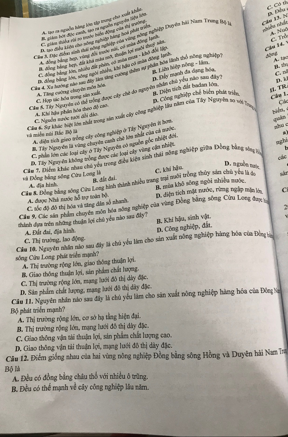 C. Có th
D. Đều
A. tạo ra nguồn hàng lớn tập trung cho xuất khẩu
nhiều nhất
B. giảm bớt độc canh, tạo ra nguồn nguyên liệu lớn
C. giảm thiều rủi ro trước biển động của thị trường
Câu 3. Đặc điểm sinh thái nông nghiệp của vùng nông nghiệp Duyên hải Nam Trung Bộ 
Câu 13. N
A. Nuô
C. Trồi
D. tạo điều kiện cho nông nghiệp hàng hoá phát triển
Câu 14.
A. đồng bằng hẹp, vùng đồi trước núi, có mùa đông lạnh
Câu 4. Xu hướng nào sau đây làm tăng cường thêm sự phân hóa lãnh thổ nông nghiệp''
động
B. đồng bằng hẹp, đất khá màu mỡ, thuận lợi nuôi thuỷ sản
C. đồng bằng lớn, nhiều đất phèn, có mùa mưa - khô đối lập
B. thy
B. Liên hiệp nông - lâm.
D. đồng bằng lớn, sông ngòi nhiều, khí hậu có mùa đông lạnh
A. Tăng cường chuyên môn hóa. D. Đầy mạnh đa dạng hóa.
C. nâ
D. k
Câu 5. Tây Nguyên có thể trồng được cây chè do nguyên nhân chủ yếu nào sau đây A. tạc
B. Diện tích đất badan lớn.
II. TR
D. Công nghiệp chế biến phát triển.
Câu 1.
C. Hợp tác hóa trong sản xuất.
Các
biến, 
A. Khí hậu phân hóa theo độ cao.
Câu 6. Sự khác biệt lớn nhất trong sản xuất cây công nghiệp lâu năm của Tây Nguyên so với Trung
C. Nguồn nước tưới dồi dào.
A. diện tích gieo trồng cây công nghiệp ở Tây Nguyên ít hơn
quản
nhu c
và miền núi Bắc Bộ là
a)
B. Tây Nguyên là vùng chuyên canh chè lớn nhất của cả nước
nghi
C. phần lớn các loại cây ở Tây Nguyên có nguồn gốc nhiệt đới.
b
D. Tây Nguyên không trồng được các loại cây vùng cận nhiệt.
các
Câu 7. Điểm khác nhau chủ yếu trong điều kiện sinh thái nông nghiệp giữa Đồng bằng sông Hòm
C. khí hậu.
D. nguồn nước.
và Đồng bằng sông Cửu Long là
B. đất đai.
Câu 8. Đồng bằng sông Cửu Long hình thành nhiều trang trại nuôi trồng thủy sản chủ yếu là do sàn
A. địa hình.
B. mùa khô sông ngòi nhiều nước.
A. được Nhà nước hỗ trợ toàn bộ. D. diện tích mặt nước, rừng ngập mặn lớn. C
C. tốc độ đô thị hóa và tăng dân số nhanh.
2
Câu 9. Các sản phẩm chuyên môn hóa nông nghiệp của vùng Đồng bằng sông Cửu Long được hìm
B. Khí hậu, sinh vật.
thành dựa trên những thuận lợi chủ yếu nào sau đây?
A. Đất đai, địa hình.
D. Công nghiệp, đất.
C. Thị trường, lao động.
Câu 10. Nguyên nhân nào sau đây là chủ yếu làm cho sản xuất nông nghiệp hàng hóa của Đồng bản
sông Cửu Long phát triển mạnh?
A. Thị trường rộng lớn, giao thông thuận lợi.
B. Giao thông thuận lợi, sản phẩm chất lượng.
C. Thị trường rộng lớn, mạng lưới đô thị dày đặc.
D. Sản phẩm chất lượng, mạng lưới đô thị dày đặc.
Câu 11. Nguyên nhân nào sau đây là chủ yếu làm cho sản xuất nông nghiệp hàng hóa của Đông Na
Bộ phát triển mạnh?
A. Thị trường rộng lớn, cơ sở hạ tầng hiện đại.
B. Thị trường rộng lớn, mạng lưới đô thị dày đặc.
C. Giao thông vận tải thuận lợi, sản phẩm chất lượng cao.
D. Giao thông vận tải thuận lợi, mạng lưới đô thị dày đặc.
Câu 12. Điểm giống nhau của hai vùng nông nghiệp Đồng bằng sông Hồng và Duyên hải Nam Tru
Bộ là
A. Đều có đồng bằng châu thổ với nhiều ô trũng.
B. Đều có thể mạnh về cây công nghiệp lâu năm.