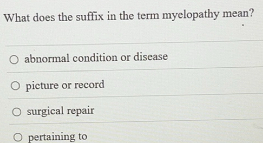 What is Fitbit Labs visual data 5