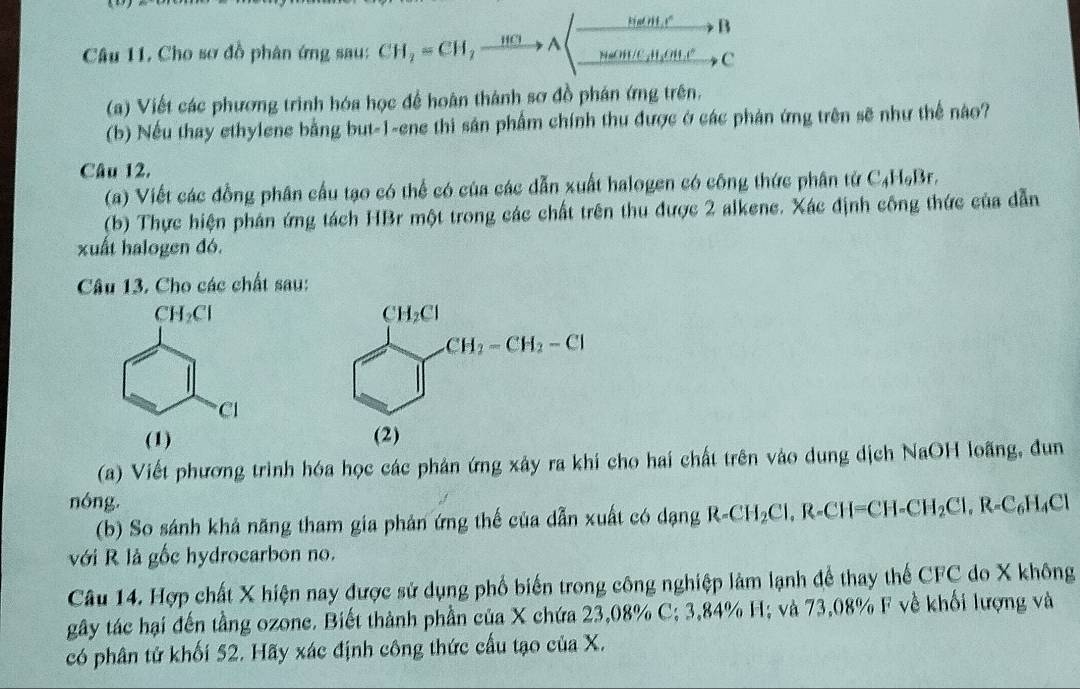 ad  t  s B
Câu 11. Cho sơ đồ phân ứng sau: CH_2=CH_2xrightarrow HClA -4 □ _  NaOW/C₂H₃OH.1° C
(a) Viết các phương trình hóa học để hoàn thành sơ đồ phán ứng trên.
(b) Nếu thay ethylene bằng but-1-ene thi sản phẩm chính thu được ở các phản ứng trên sẽ như thể nào?
Câu 12.
(a) Viết các đồng phân cầu tạo có thể có của các dẫn xuất halogen có công thức phân từ C₄H₆Br.
(b) Thực hiện phán ứng tách HBr một trong các chất trên thu được 2 alkene. Xác định công thức của dẫn
xuất halogen đó.
Câu 13. Cho các chất sau:
 
 
(a) Viết phương trình hóa học các phản ứng xảy ra khi cho hai chất trên vào dung dịch NaOH loãng, đun
nóng.
(b) So sánh khả năng tham gia phản ứng thế của dẫn xuất có dạng R-C 11 Cl,R-CH=CH-CH_2Cl,R-C_6H_4Cl
với R là gốc hydrocarbon no.
Câu 14. Hợp chất X hiện nay được sử dụng phố biến trong công nghiệp làm lạnh để thay thế CFC do X không
gây tác hại đến tầng ozone. Biết thành phần của X chứa 23,08% C; 3,84% H; và 73,08% F về khối lượng và
có phân tử khối 52. Hãy xác định công thức cấu tạo của X.