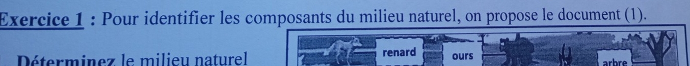 Pour identifier les composants du milieu naturel, on propose le document (1). 
Déterminez le milieu naturel renard ours arbre