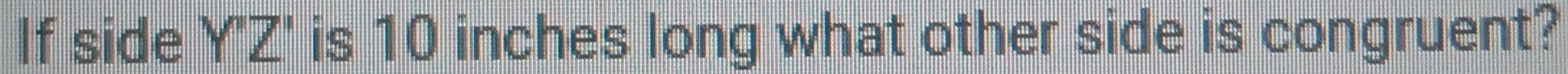 If side Y'Z' is 10 inches long what other side is congruent?