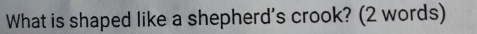 What is shaped like a shepherd's crook? (2 words)