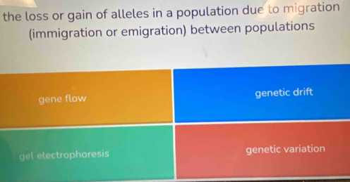 the loss or gain of alleles in a population due to migration
(immigration or emigration) between populations
gene flow genetic drift
gel electrophoresis genetic variation