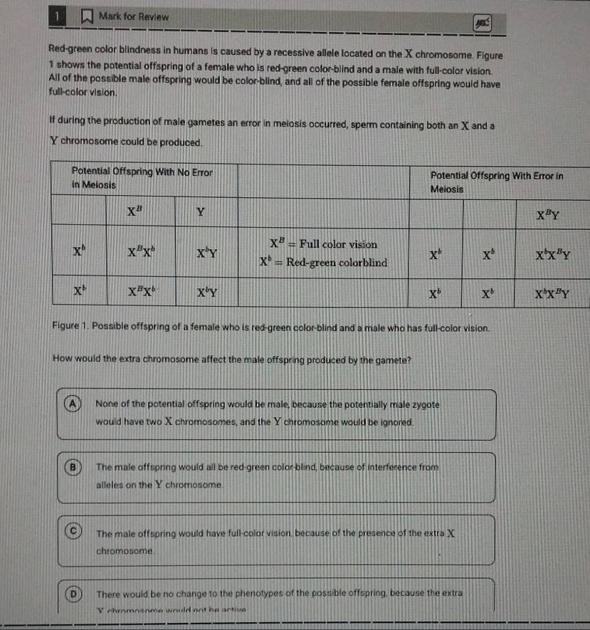 for Review
Red-green color blindness in humans is caused by a recessive allele located on the X chromosome. Figure
1 shows the potential offspring of a female who is red-green color-blind and a male with full-color vision.
All of the possible male offspring would be color-blind, and all of the possible female offspring would have
full-color vision.
If during the production of male gametes an error in melosis occurred, sperm containing both an X and a
Y chromosome could be produced.
Figure 1. Possible offspring of a female who is red-green color-blind and a male who has full-color vision.
How would the extra chromosome affect the male offspring produced by the gamete?
None of the potential offspring would be male, because the potentially male zygote
would have two X chromosomes, and the Y chromosome would be ignored.
B The male offspring would all be red-green color-blind, because of interference from
alleles on the Y chromosome.
The male offspring would have full-color vision, because of the presence of the extra X
chromosome.
D There would be no change to the phenotypes of the possible offspring, because the extra
Y chromosnme would oot he active