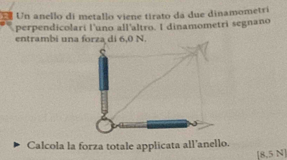 Un anello di metallo viene tirato da due dinamometrí 
perpendicolari l'uno all'altro. I dinamometri segnano 
entrambi una forza di 6,0 N. 
Calcola la forza totale applicata all’anello.
[8,5 N]