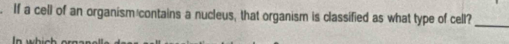 If a cell of an organism contains a nucleus, that organism is classified as what type of cell?_