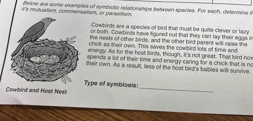 Below are some examples of symbiotic relationships between species. For each, determine if 
it's mutualism, commensalism, or parasitism. 
Cowbirds are a species of bird that must be quite clever or lazy 
or both. Cowbirds have figured out that they can lay their eggs in 
the nests of other birds, and the other bird parent will raise the 
chick as their own. This saves the cowbird lots of time and 
energy. As for the host birds, though, it's not great. That bird now 
spends a lot of their time and energy caring for a chick that is no 
their own. As a result, less of the host bird's babies will survive. 
Type of symbiosis: 
Cowbird and Host Nest 
_