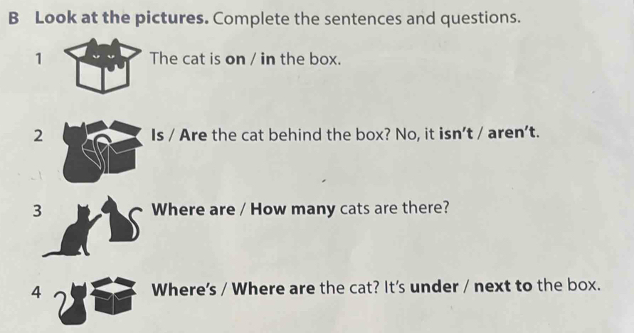 Look at the pictures. Complete the sentences and questions. 
1 The cat is on / in the box. 
2 Is / Are the cat behind the box? No, it isn't / aren't. 
3 Where are / How many cats are there? 
4 Where's / Where are the cat? It's under / next to the box.