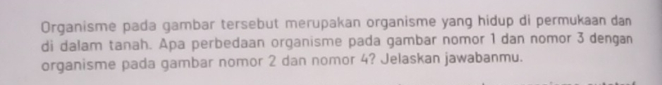 Organisme pada gambar tersebut merupakan organisme yang hidup di permukaan dan 
di dalam tanah. Apa perbedaan organisme pada gambar nomor 1 dan nomor 3 dengan 
organisme pada gambar nomor 2 dan nomor 4? Jelaskan jawabanmu.