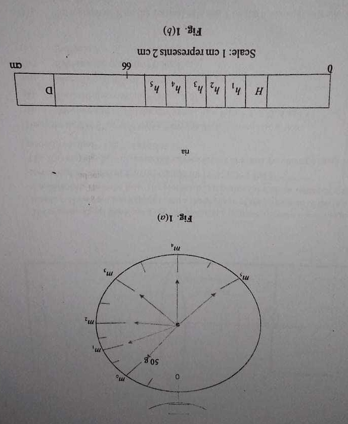 (9)Ⅰ 
ɯɔ ζ sɪuəsəɪdəɪ ɯɔ 
(D)