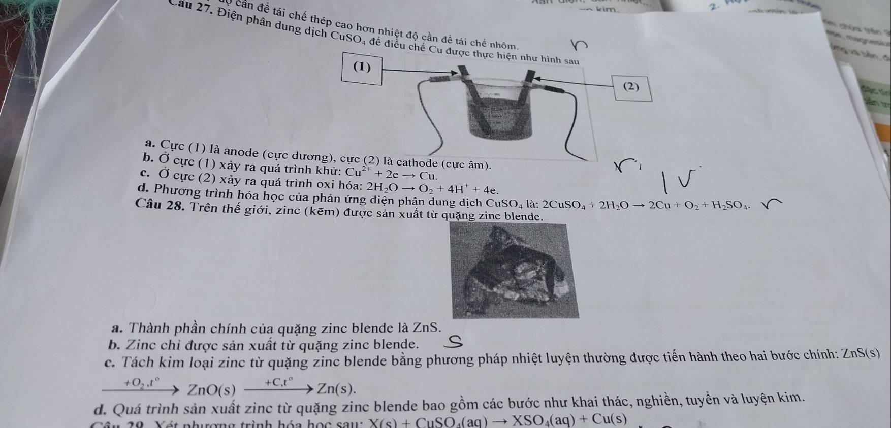 、kim
2- m chúm trên ?
can đề tái chế thép cao hơn nhiệt độ cần để tái chế nhôm
Cầu 27. Điện phân dung dịch CuSO₄ đề điều 
de magnesiu
Vg và bản , đ
cac tn
nir
a. Cực (1) là anode (cực dư).
b. Ở cực (1) xảy ra quá trình khử: Cu^(2+)+2eto Cu.
c. Ở cực (2) xảy ra quá trình oxi hóa: 2H_2Oto O_2+4H^++4e.
d. Phương trình hóa học của phản ứng điện phân dung dịch CuS SO_4la:2CuSO_4+2H_2Oto 2Cu+O_2+H_2SO_4
Câu 28. Trên thế giới, zinc (kẽm) được sản xuất từ quặng zinc blende.
a. Thành phần chính của quặng zinc blende là ZnS
b. Zinc chi được sản xuất từ quặng zinc blende.
c. Tách kim loại zinc từ quặng zinc blende bằng phương pháp nhiệt luyện thường được tiến hành theo hai bước chính: ZnS(s)
xrightarrow +O_2,t°ZnO(s)xrightarrow +Ct°Zn(s).
d. Quá trình sản xuất zinc từ quặng zinc blende bao gồm các bước như khai thác, nghiền, tuyền và luyện kim.
29 Xét phượng trình hóa học saw X(s)+CuSO_4(aq)to XSO_4(aq)+Cu(s)