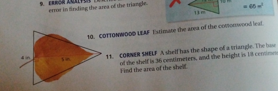 ErrOr analys is 
error in finding the area of the triangle. 10 m
=65m^2
13 m
10. COTTONWOOD LEAF Estimate the area of the cottonwood leaf. 
of the shelf is 36 centimeters, and the height is 18 centimete
11. CORNER SHELF A shelf has the shape of a triangle. The base 
Find the area of the shelf.