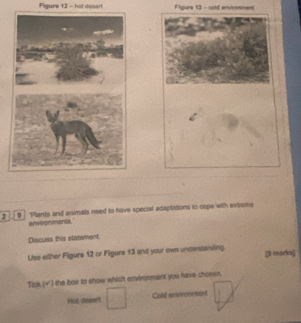 Figure 12 - hot desert Figure 13 - cold environment
2 9 Plants and animals need to have special adaptations to cope with extreme
environments.'
Discuss this statement.
Use either Figure 12 or Figure 13 and your own underslanding. [9 marks]
Tick (√) the box to show which envirenment you have chosen.
Mot desert Cold environment